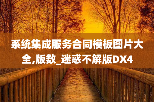 系统集成服务合同模板图片大全,版数_迷惑不解版DX4