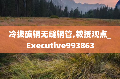 冷拔碳钢无缝钢管,教授观点_Executive993863