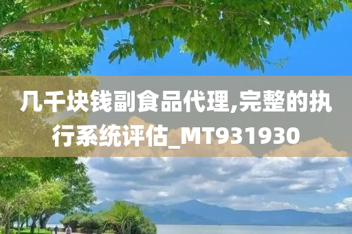 几千块钱副食品代理,完整的执行系统评估_MT931930