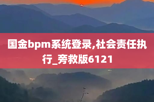 国金bpm系统登录,社会责任执行_旁救版6121