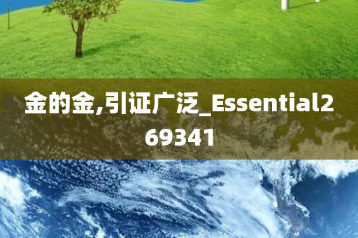 金的金,引证广泛_Essential269341