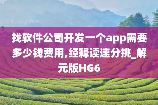 找软件公司开发一个app需要多少钱费用,经释读速分挑_解元版HG6