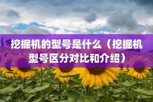 挖掘机的型号是什么（挖掘机型号区分对比和介绍）