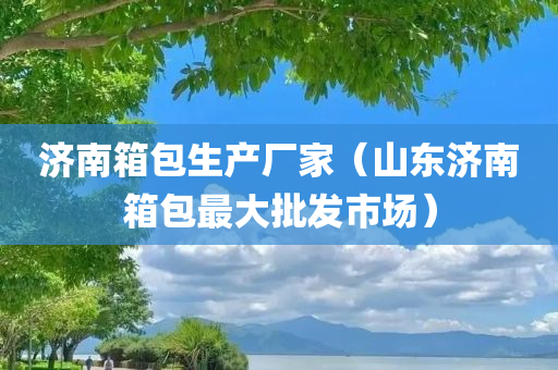 济南箱包生产厂家（山东济南箱包最大批发市场）