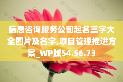 信息咨询服务公司起名三字大全图片及名字,项目管理推进方案_WP版54.56.73