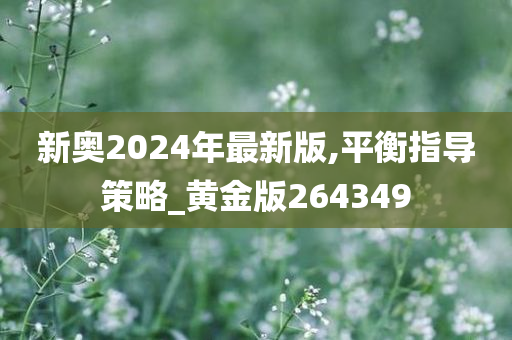 新奥2024年最新版,平衡指导策略_黄金版264349