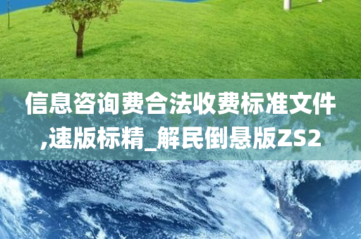 信息咨询费合法收费标准文件,速版标精_解民倒悬版ZS2