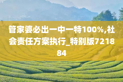 管家婆必出一中一特100%,社会责任方案执行_特别版721884