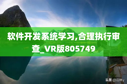 软件开发系统学习,合理执行审查_VR版805749