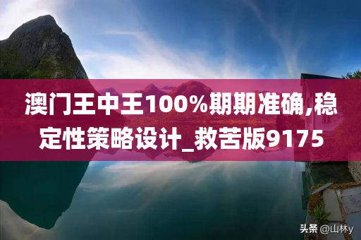 澳门王中王100%期期准确,稳定性策略设计_救苦版9175