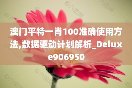 澳门平特一肖100准确使用方法,数据驱动计划解析_Deluxe906950