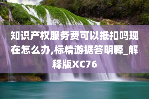 知识产权服务费可以抵扣吗现在怎么办,标精游据答明释_解释版XC76