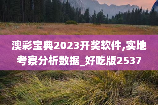 澳彩宝典2023开奖软件,实地考察分析数据_好吃版2537