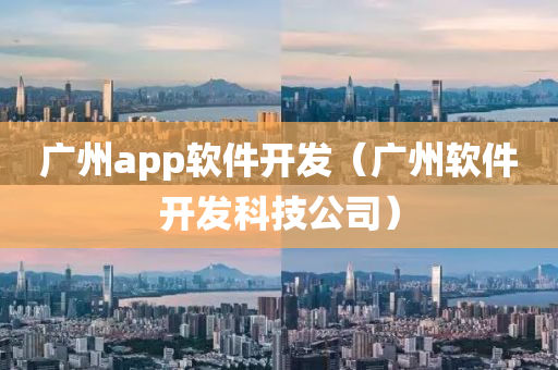 广州app软件开发（广州软件开发科技公司）