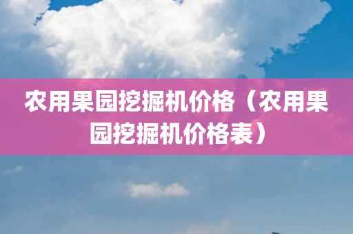 农用果园挖掘机价格（农用果园挖掘机价格表）