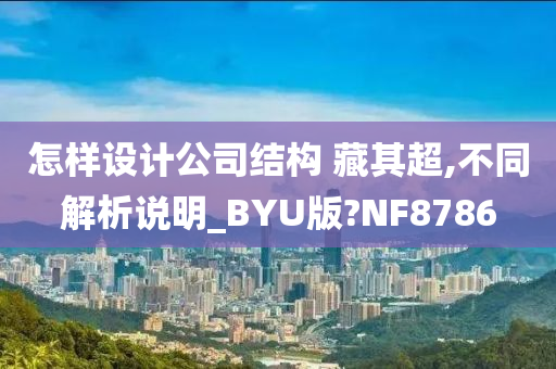 怎样设计公司结构 藏其超,不同解析说明_BYU版?NF8786