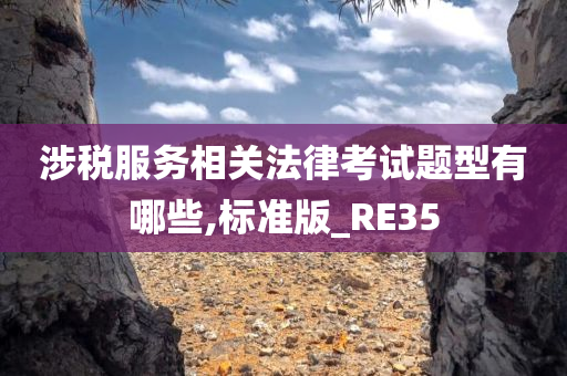 涉税服务相关法律考试题型有哪些,标准版_RE35