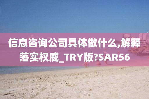 信息咨询公司具体做什么,解释落实权威_TRY版?SAR56