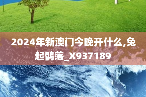 2024年新澳门今晚开什么,兔起鹘落_X937189