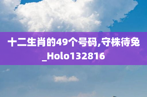 十二生肖的49个号码,守株待兔_Holo132816