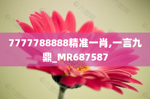 7777788888精准一肖,一言九鼎_MR687587