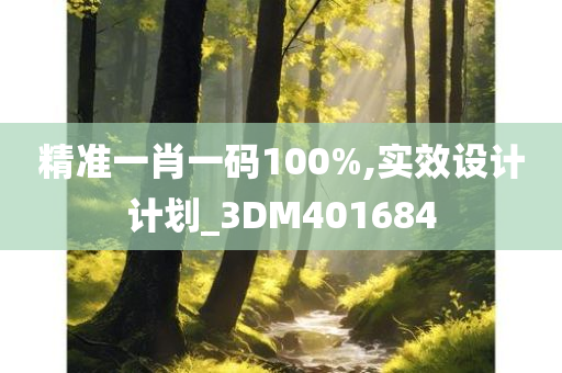 精准一肖一码100%,实效设计计划_3DM401684