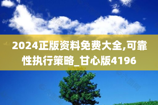 2024正版资料免费大全,可靠性执行策略_甘心版4196