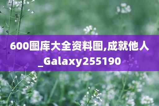 600图库大全资料图,成就他人_Galaxy255190