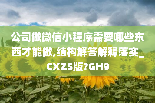 公司做微信小程序需要哪些东西才能做,结构解答解释落实_CXZS版?GH9