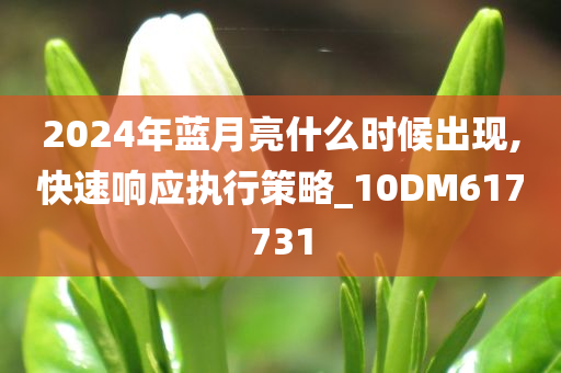 2024年蓝月亮什么时候出现,快速响应执行策略_10DM617731