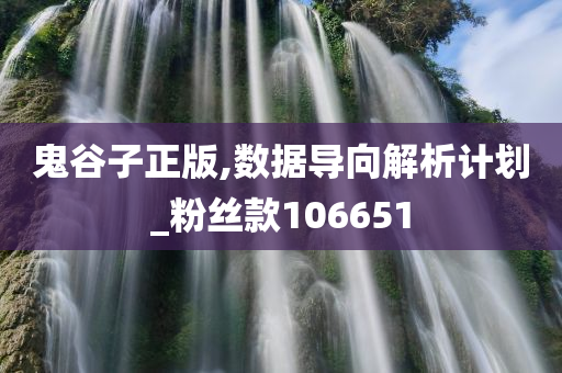 鬼谷子正版,数据导向解析计划_粉丝款106651