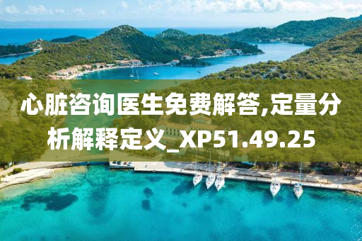 心脏咨询医生免费解答,定量分析解释定义_XP51.49.25