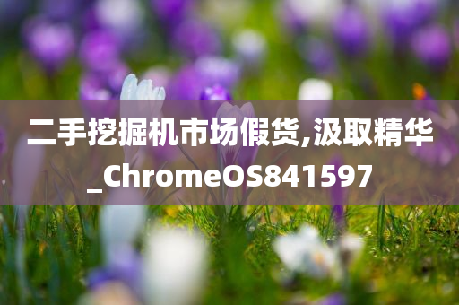 二手挖掘机市场假货,汲取精华_ChromeOS841597