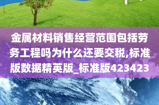 金属材料销售经营范围包括劳务工程吗为什么还要交税,标准版数据精英版_标准版423423