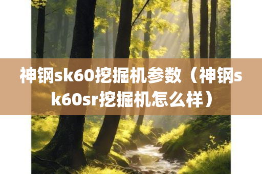 神钢sk60挖掘机参数（神钢sk60sr挖掘机怎么样）