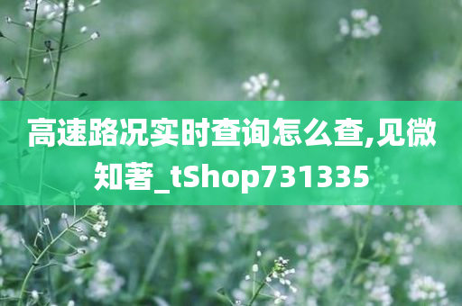 高速路况实时查询怎么查,见微知著_tShop731335