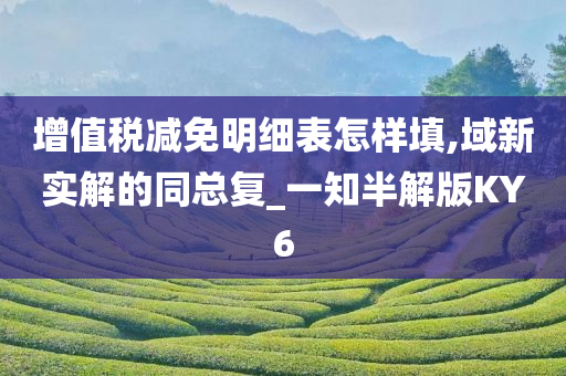 增值税减免明细表怎样填,域新实解的同总复_一知半解版KY6