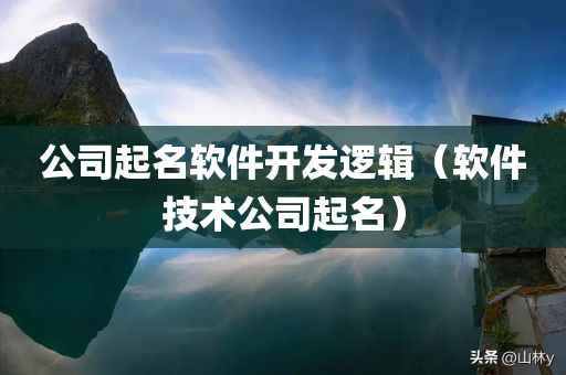 公司起名软件开发逻辑（软件技术公司起名）