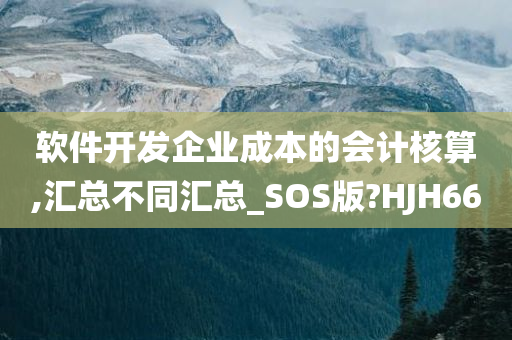 软件开发企业成本的会计核算,汇总不同汇总_SOS版?HJH66