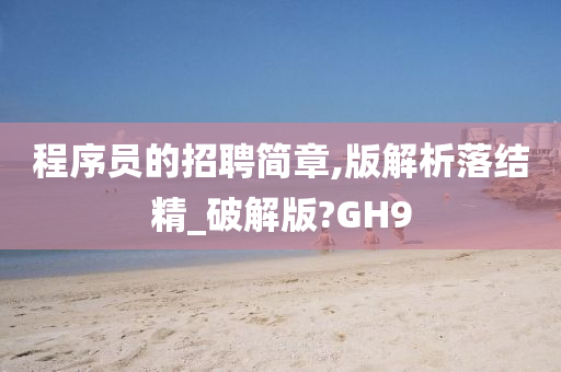 程序员的招聘简章,版解析落结精_破解版?GH9