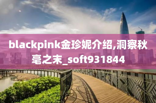 blackpink金珍妮介绍,洞察秋毫之末_soft931844