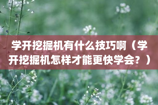 学开挖掘机有什么技巧啊（学开挖掘机怎样才能更快学会？）