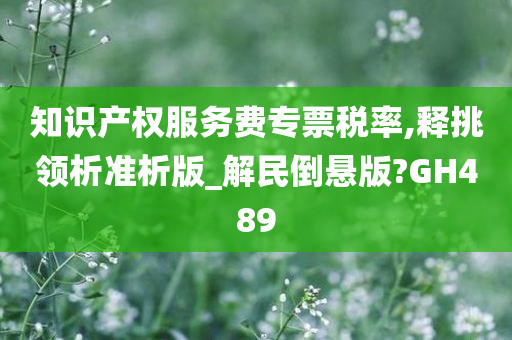 知识产权服务费专票税率,释挑领析准析版_解民倒悬版?GH489