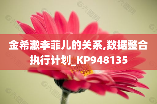 金希澈李菲儿的关系,数据整合执行计划_KP948135