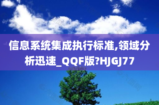 信息系统集成执行标准,领域分析迅速_QQF版?HJGJ77