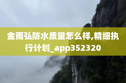 金雨弘防水质量怎么样,精细执行计划_app352320