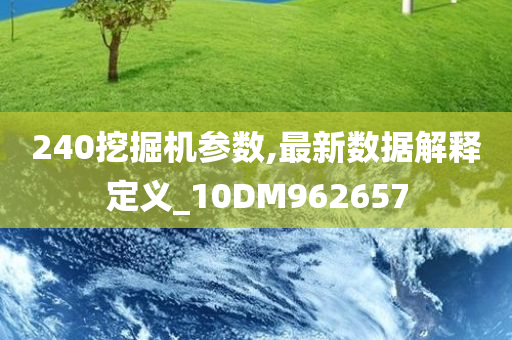 240挖掘机参数,最新数据解释定义_10DM962657