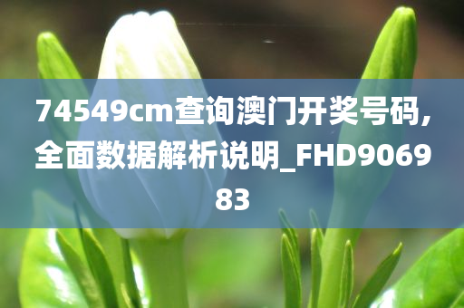 74549cm查询澳门开奖号码,全面数据解析说明_FHD906983