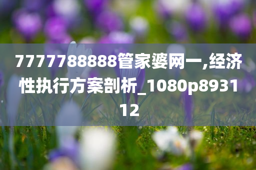 7777788888管家婆网一,经济性执行方案剖析_1080p893112