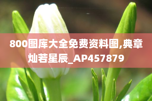 800图库大全免费资料图,典章灿若星辰_AP457879